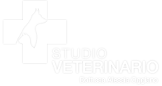 Studio Veterinario Oggiano - La Spezia